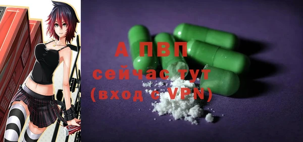 дмт Ладушкин
