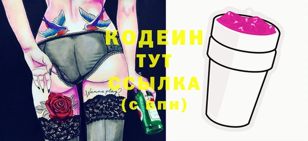 дмт Ладушкин