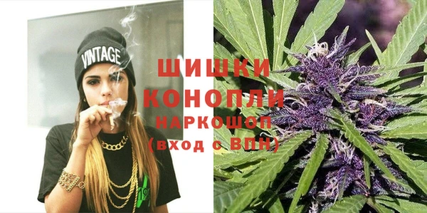 ПСИЛОЦИБИНОВЫЕ ГРИБЫ Лагань