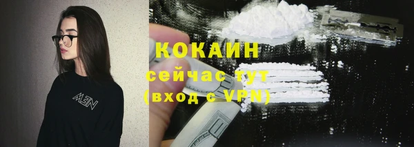 дмт Ладушкин